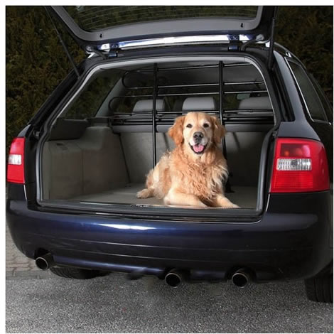 Proteger perros en vehículo para viajar