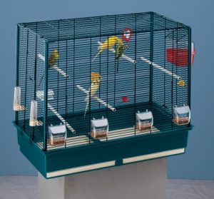 Las jaulas para pájaros deberán de estar en buenas condiciones para el confort y la comodidad de tus pájaros.