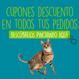 cupones-descuento