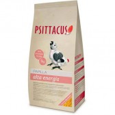 Psittacus papilla alta energía