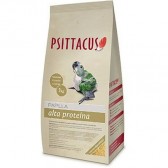 Psittacus papilla alta proteína