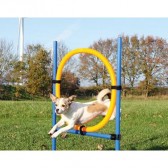 Aro para agility Aro para agility
