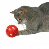 Cat activity pelota snacks Trixie Cat activity pelota snacks Trixie